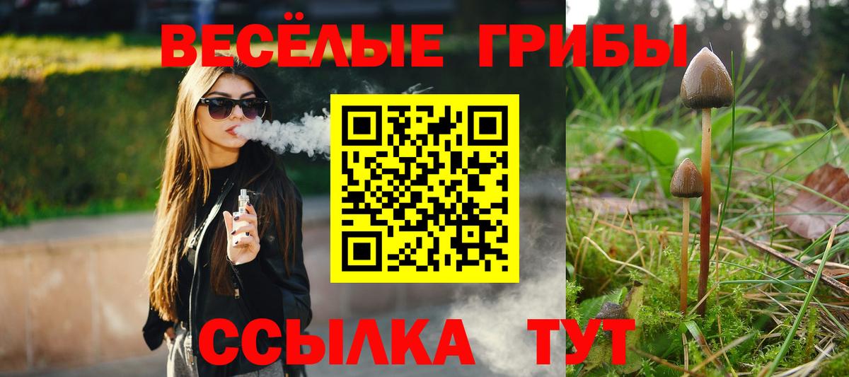 Галлюциногенные грибы Cubensis Минеральные Воды